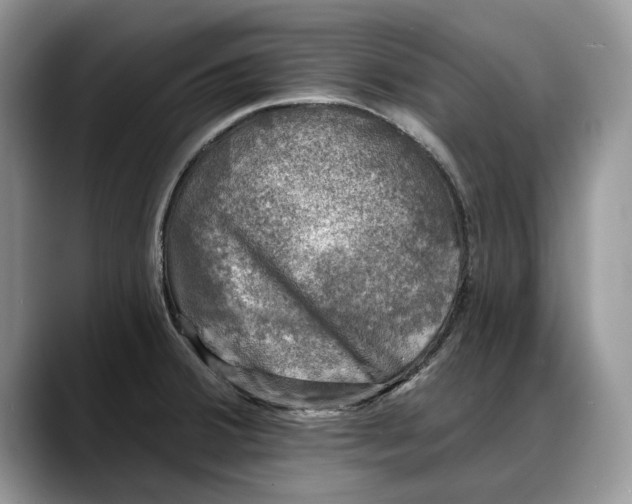 X0000088221380200705292104