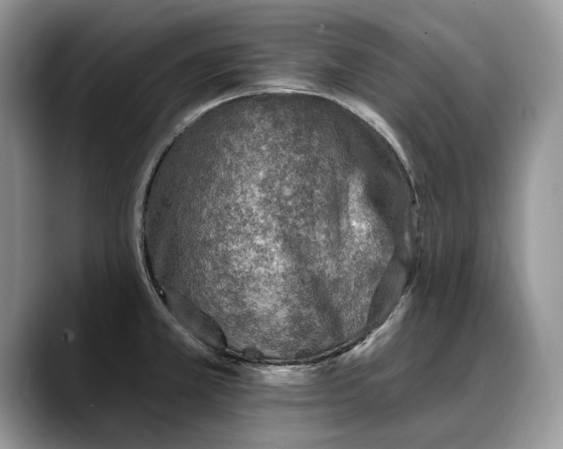 X0000088221381200705292104