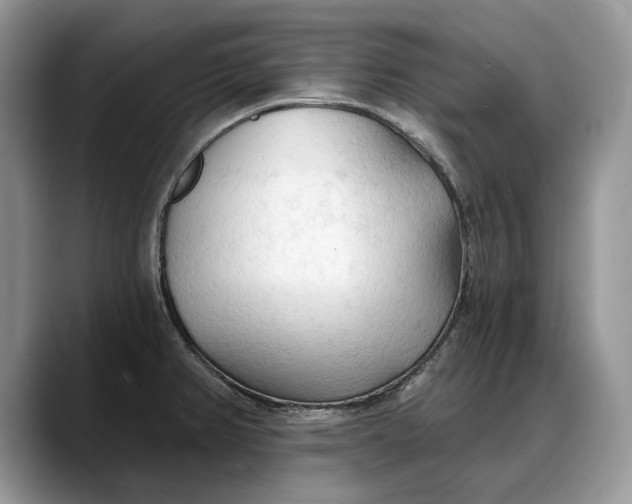 X0000088221382200705292104