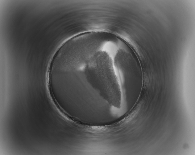 X0000088221383200705292104