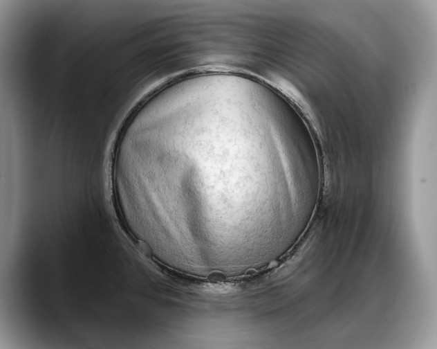 X0000088221384200705292104