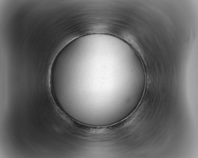 X0000088221386200705292104