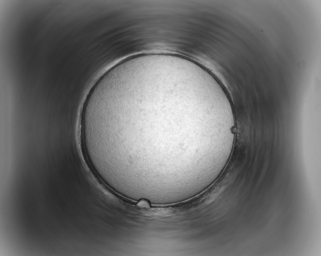 X0000088221387200705292104