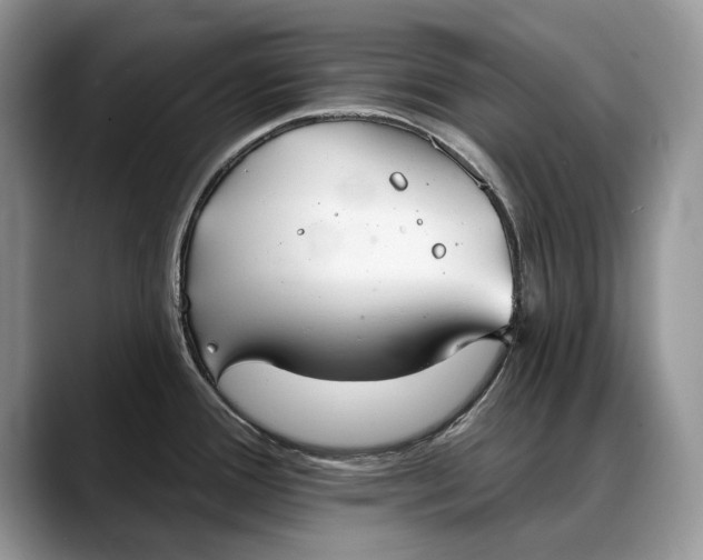 X0000088221388200705292104