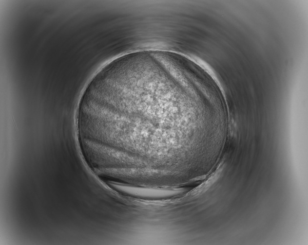 X0000088221389200705292104