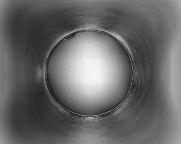 X0000088221390200705292104