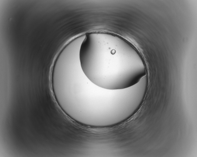 X0000088221392200705292104