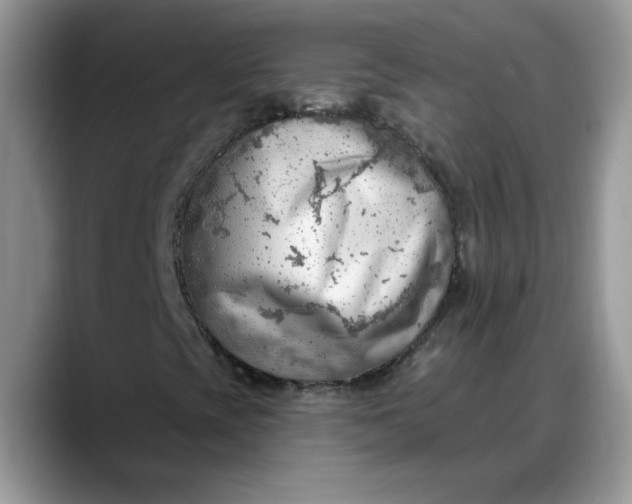 X0000088221393200705292103