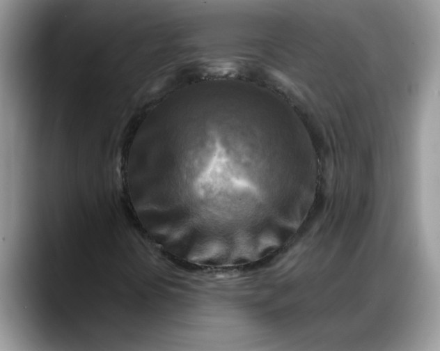 X0000088221394200705292103