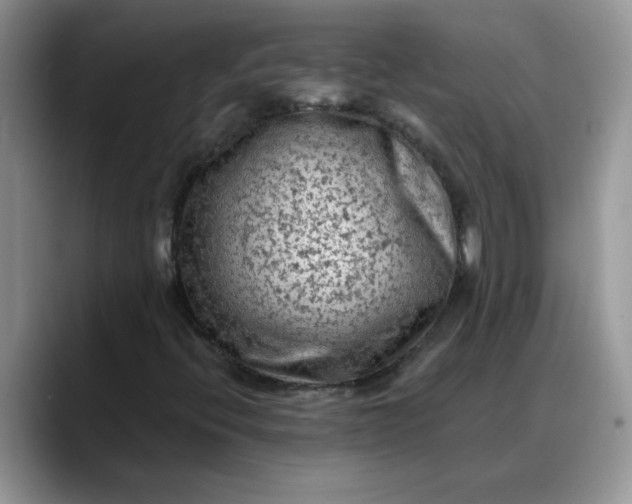 X0000088221396200705292103