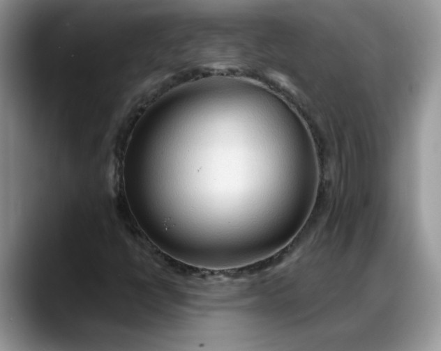 X0000088221398200705292103