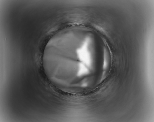 X0000088221399200705292103