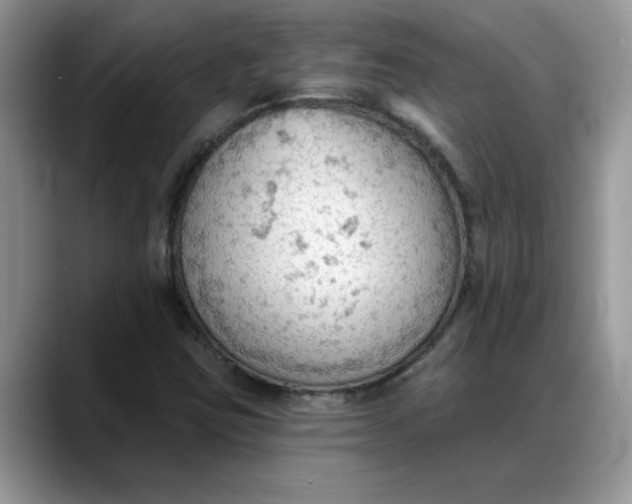 X0000088221403200705292104