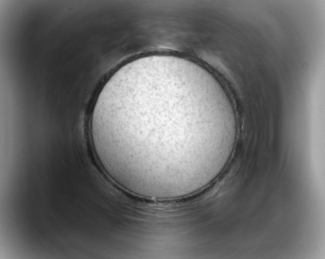 X0000088221404200705292104