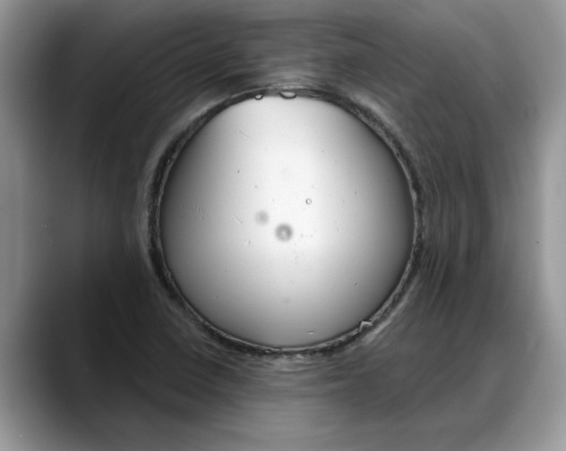 X0000088221410200705292104