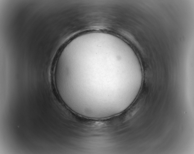 X0000088221412200705292104