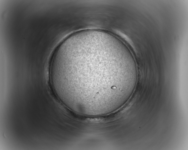 X0000088221415200705292104