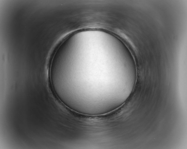 X0000088221416200705292104