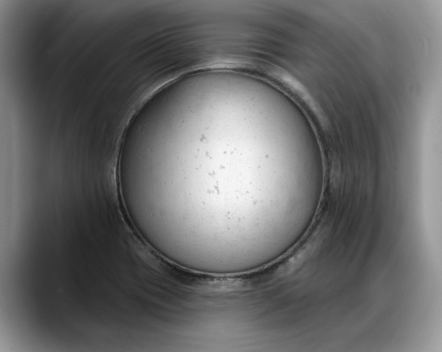 X0000088221417200705292104