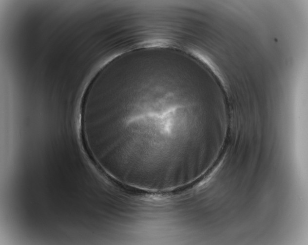 X0000088221418200705292104