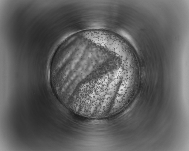 X0000088221419200705292104