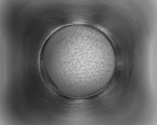 X0000088221423200705292104