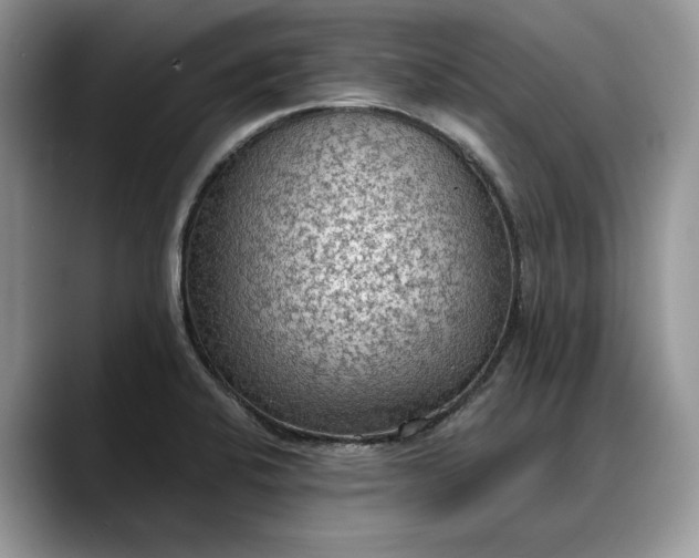 X0000088221424200705292104