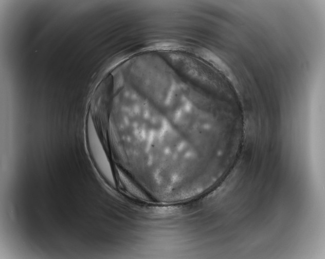 X0000088221425200705292104