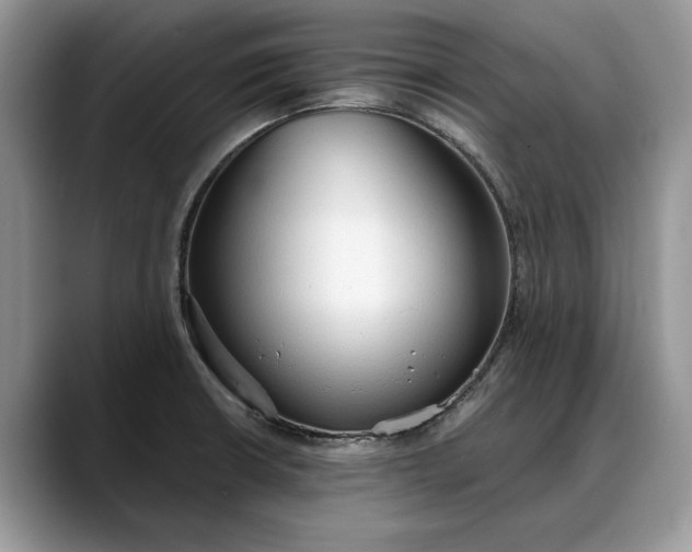 X0000088221426200705292104