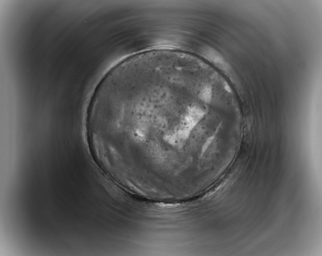 X0000088221427200705292104