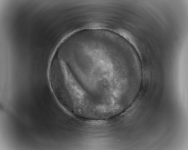 X0000088221429200705292104