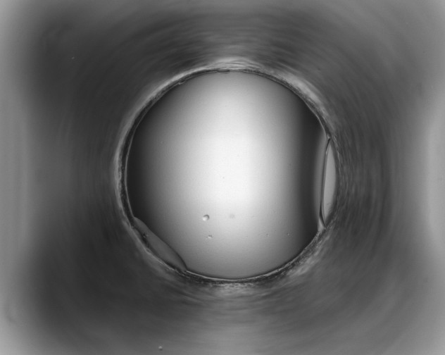 X0000088221430200705292104