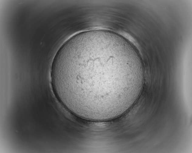 X0000088221431200705292104