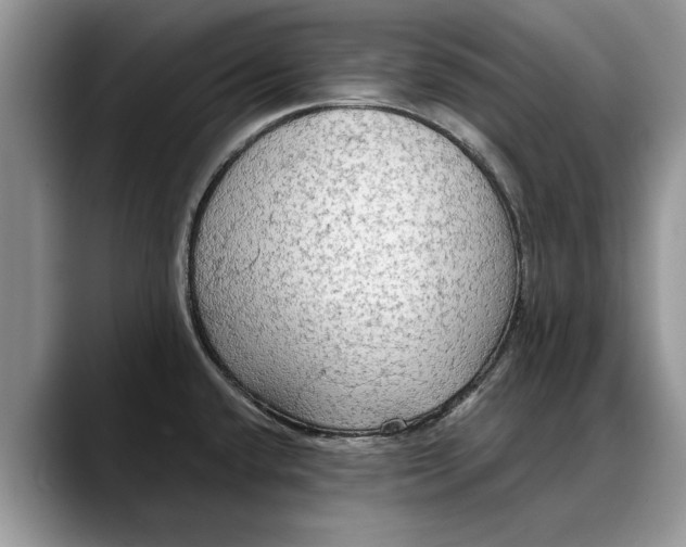 X0000088221432200705292104