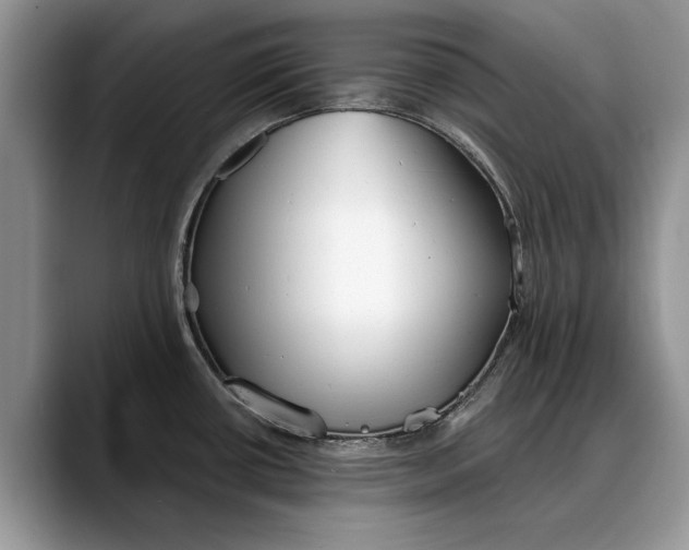 X0000088221434200705292104