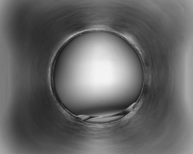 X0000088221438200705292104