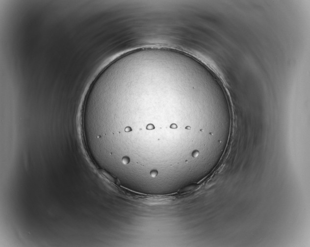 X0000088221440200705292104