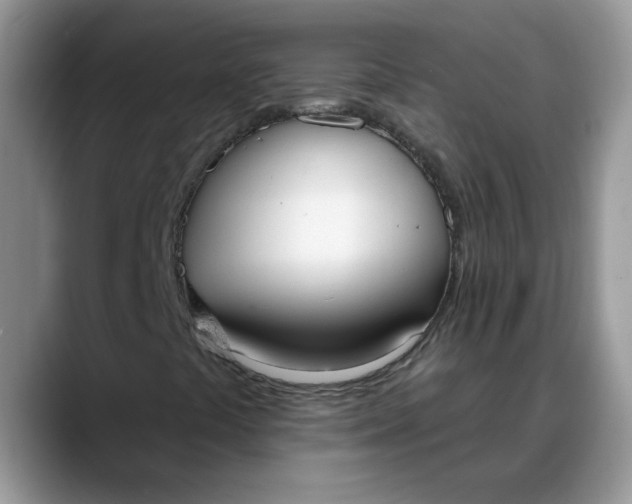 X0000088221441200705292103