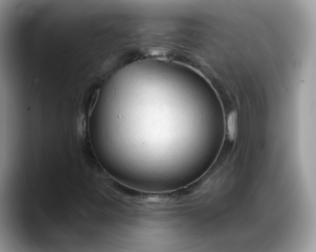 X0000088221443200705292103