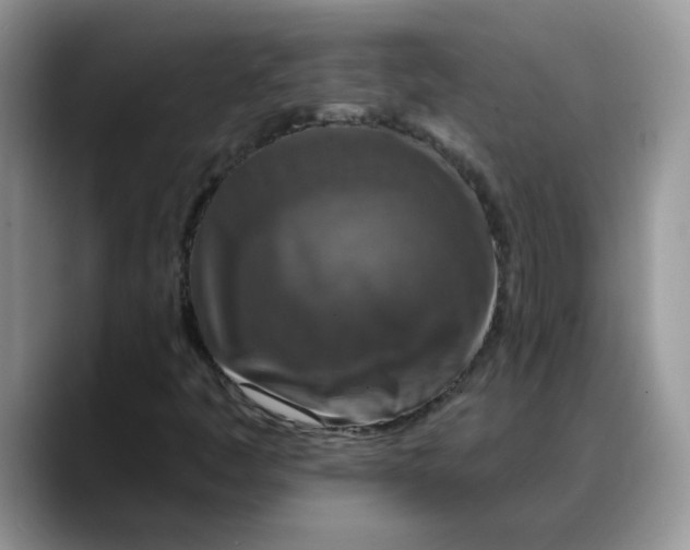 X0000088221445200705292103