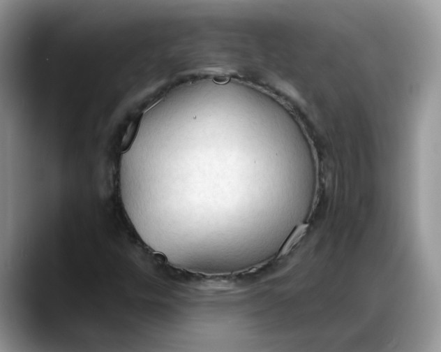 X0000088221448200705292103