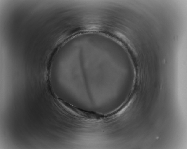 X0000088221449200705292103