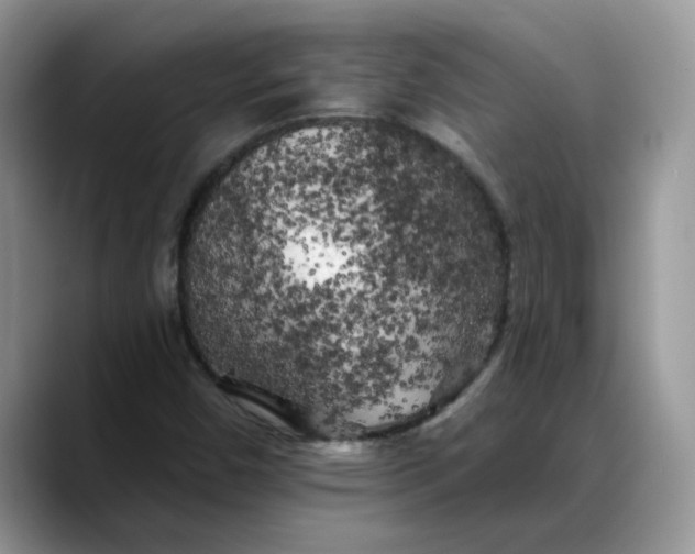 X0000088221450200705292103