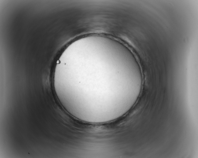 X0000088221452200705292103