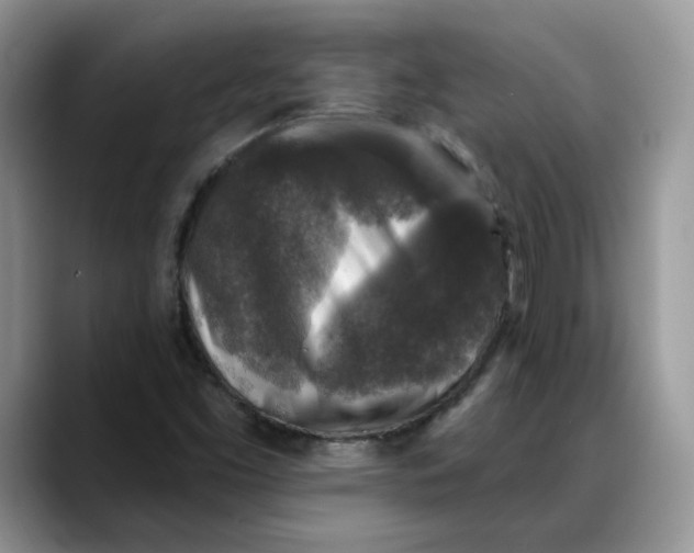 X0000088221453200705292103