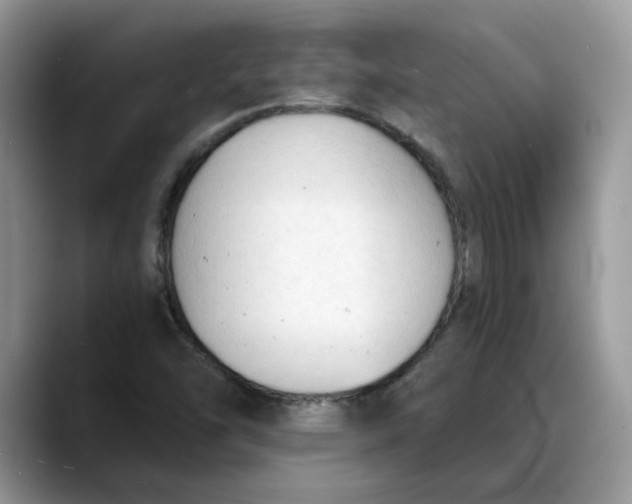 X0000088221454200705292103