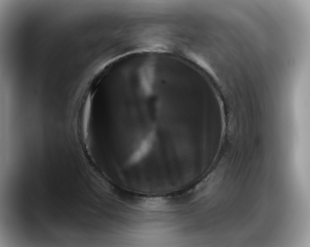 X0000088221455200705292103