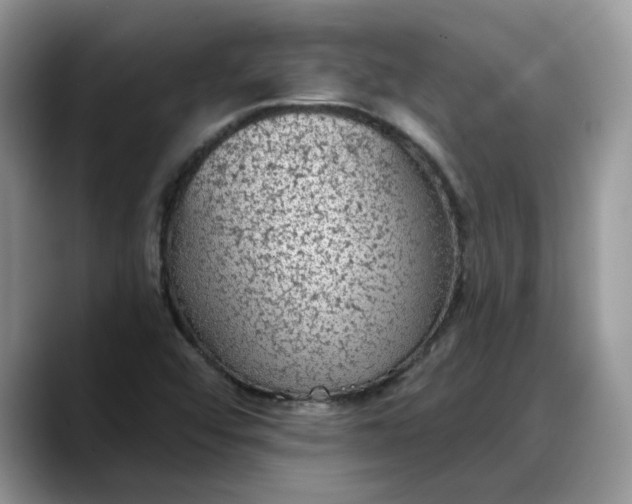 X0000088221456200705292103