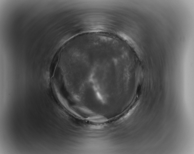 X0000088221457200705292103