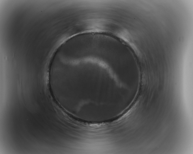 X0000088221459200705292103